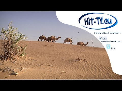 Sharjah 2014 Wüstensafari 11.10.2014