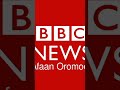 BBC Afaan Oromoo