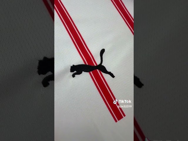 Vídeo relacionado con PUMA Girona FC 25/26 Training Short Sleeve T-Shirt L