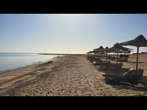 Bravo Gemma Beach Resort Marsa Alam 🇪🇬