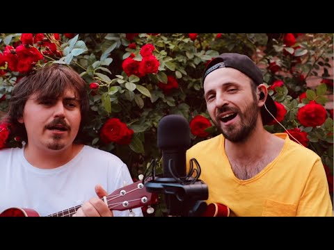 YURA ZVONAR - 1000 літ  (Live Lite)