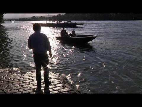 Schloss Reinhartshausen und der Inselwein