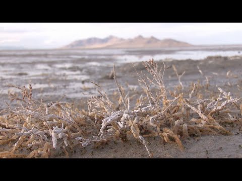 Officials concerned by possible dust plumes from exposed lakebed from Great Salt Lake