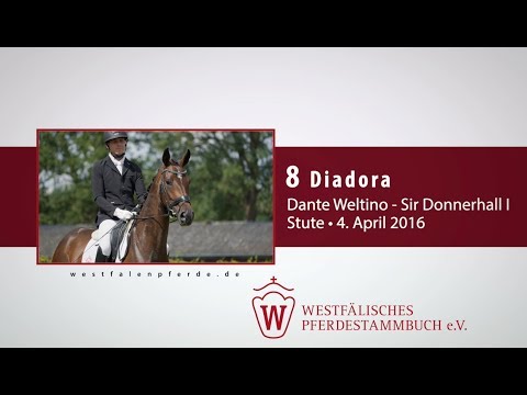 08 Diadora  Stute v. Dante Weltino - Sir Donnerhall I