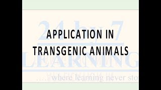 Application in Transgenic Animals | Biotechnology ad its applications | Grade 12 | Biology
