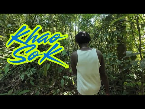 Half-Day JUNGLE Trek - Khao Sok National Park