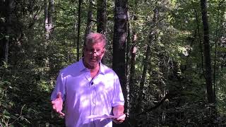 Lake Keowee Real Estate Video Update September 2025 Mike Matt Roach Top Guns