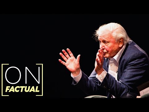 David Attenborough on Jungle Raves, Snakes vs Iguana and His Narrative Style | On Factual