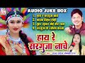 Sanjay Surila | Minakshi Raut | Cg Song | Hay Re Sarguja Nache | Audio Jukebox | Chhattisgarhi Gana