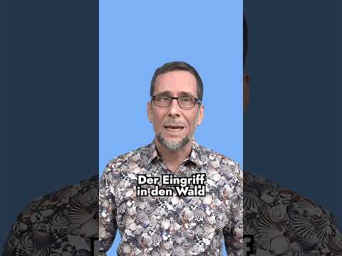 Video Thumbnail: Quaschning erklärt: #Windkraft im #Wald 🌲 #afd #cdu #fdp