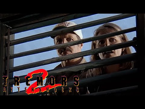 Thumbnail of the video: Hiding In Plain Sight