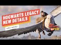 Hogwarts Legacy Details, House of the Dragon NSFW Scenes, & More! | IGN The Weekly Fix