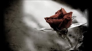 Dark Sanctuary ~ L&#39;ombre triste (Royaume Mélancolique 2)