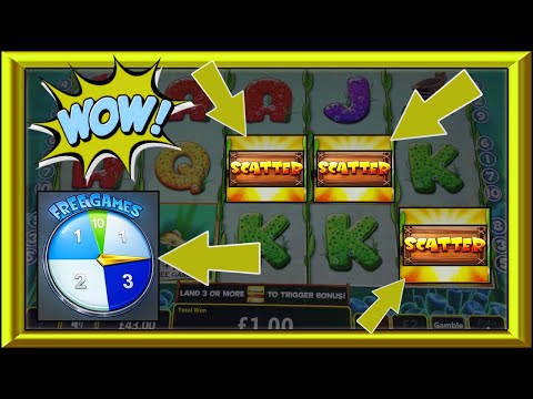 Catch Of The Day, Fortune Spins & Big Hits!