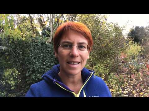 Nebennierenschwäche? Symptome und Heilung