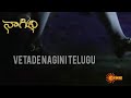 NAAGINI IN TELUGU TITLE SONG