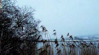 Whitewood Lake/music by Craig Herbertson