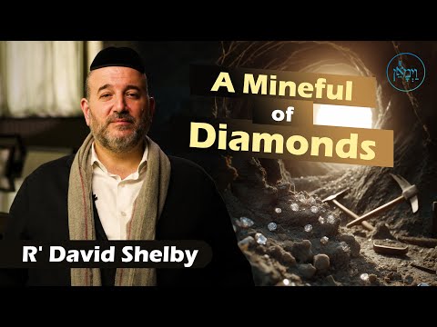 A Mineful of Diamonds | Rabbi David Shelby