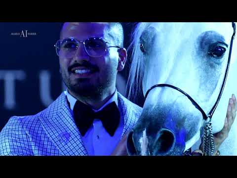 ⚜ AL SHEIKH ACHIEVEMENTS ⚜