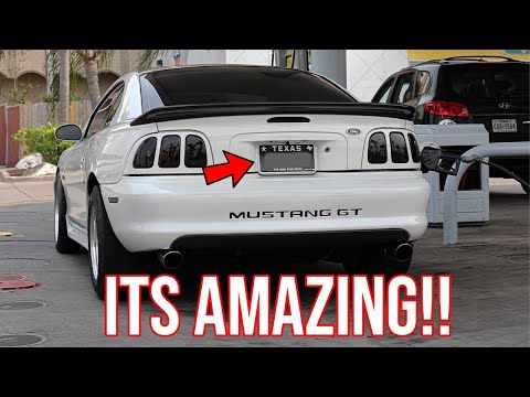 NEW SICK CUSTOM LICENSE PLATES FOR THE NITROUS MUSTANG (+ Q&A Answering Your Questions)