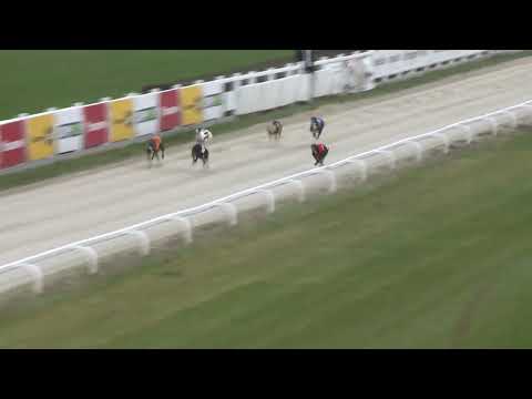 2022.11.26. 14. futam - WGO Nagydíj