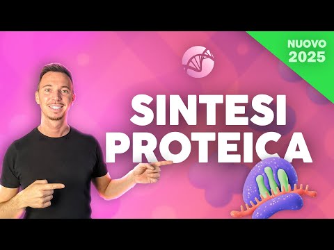 Protein Synthesis: Transcription, Translation and RNA | Cell Biology Course 2025