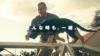 ブラッド・ピットと義足の犬が紡ぐ“絆”の物語　映画『ハート・オブ・ビースト』特報