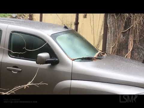 12-16-2020 - Roanoke/Bedford County VA - Winter Storm Nor'Easter Day and Evening Action