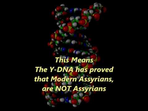 Assyrian DNA - Assyrians are NOT Assyrians