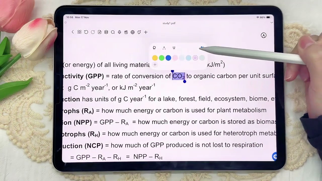 New in Freenotes: PDF Text Markup Tools