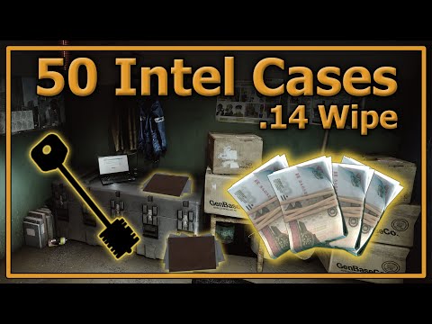 Loot From 50 Intel Scav Cases | .14 Wipe | IS IT WORTH IT?
