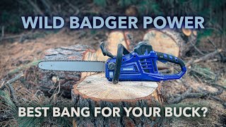Is this the budget electric chainsaw you need? | Badger Electric Chainsaw | Review