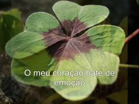 Poderoso Amor video