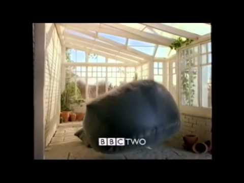 BBC two Pump sting (v2) 1997