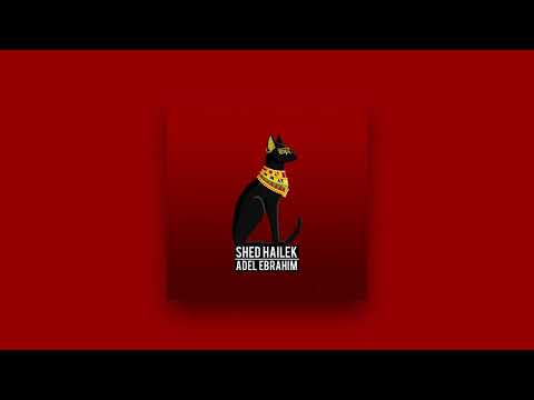 عادل إبراهيم - شد حيلك | Adel Ebrahim - Shed Hailek 2021