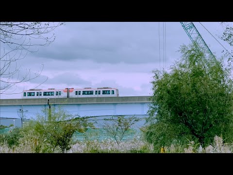 Cuối tuần ở sasang busan Hàn Quốc, dạo công viên sinh thái