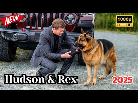 Hudson and Rex  2025  | Hudson and Rex 2025  of Drama & Mystery Crime NEWS Full HD