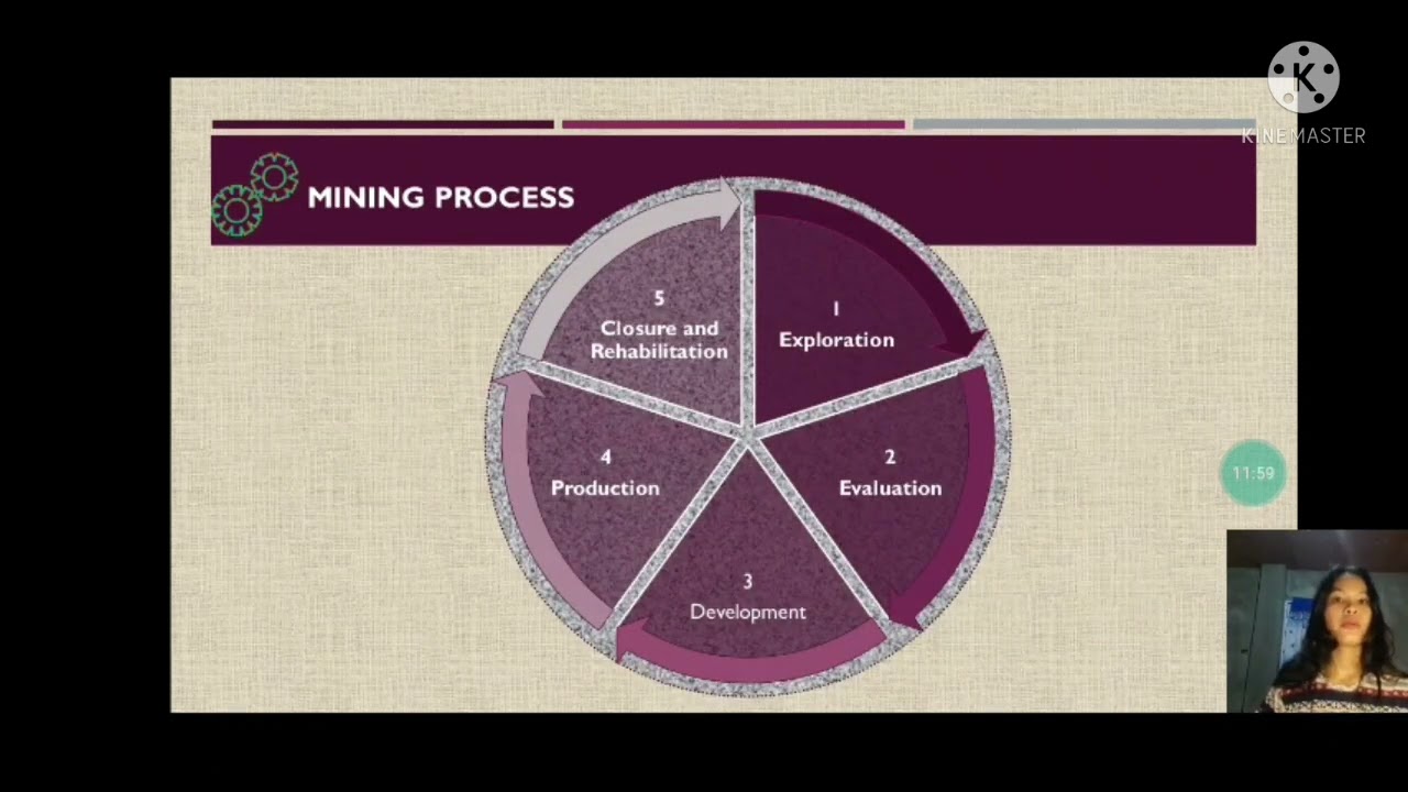 Auditing Clients in Mining Industries