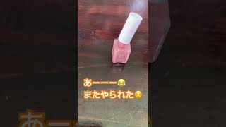 育児あるある#3歳 #4人家族 #子育て