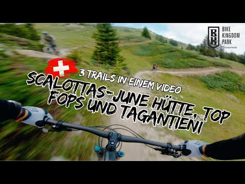Lenzerheide / 3 Trails: Scalottas - June Hütte / Top Fops / Tagantieni  / Bike Kingdom - Graubünden
