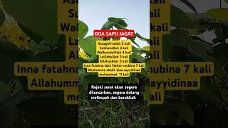 Download lagu Doa sapu jagat #berdzikir #dzikir mp3 Download lagu Doa sapu jagat #berdzikir #dzikir mp3