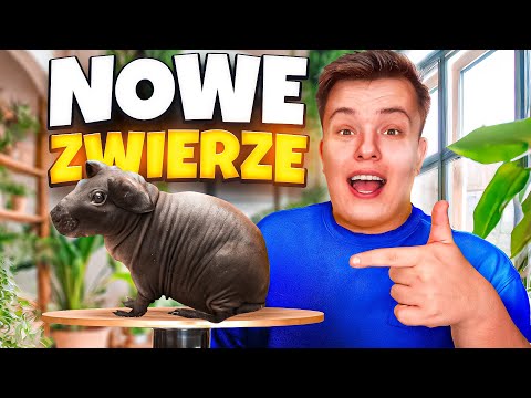 Nowe ZWIERZE w NASZYM DOMU! MINI HIPOPOTAM?
