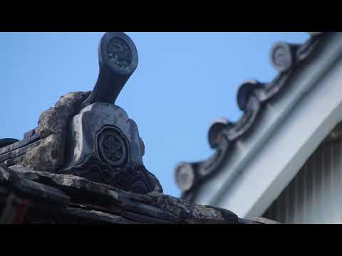 映像作家 保山耕一氏 による「奈良、時の雫」　五條新町編