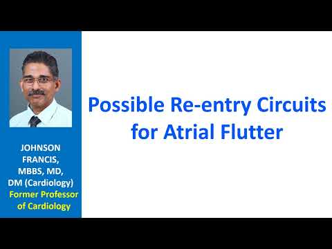 Possible Re-entry Circuits for Atrial Flutter