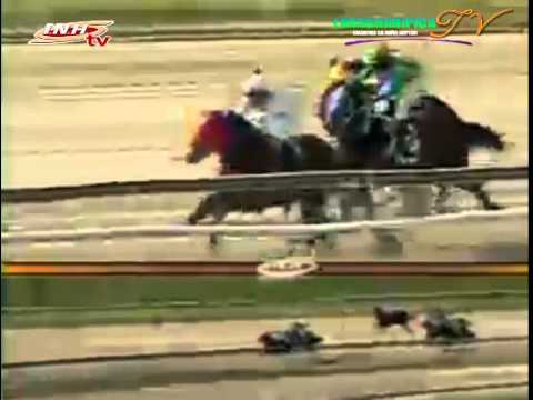 LA RINCONADA 5 CARRERA DOMINGO 16 DE NOVIEMBRE DEL 2014