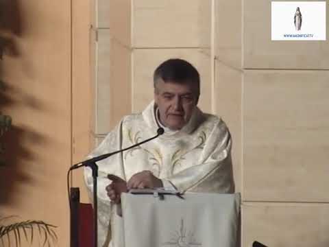 Homilía. Santo Tomás de Aquino (28.01.2019) P. Santiago Martín, FM