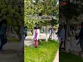 Life In Kyrgyzstan Mbbs Don T Ask Again Trend Youtubeshorts Problem Withoutfamily Dontaskme
