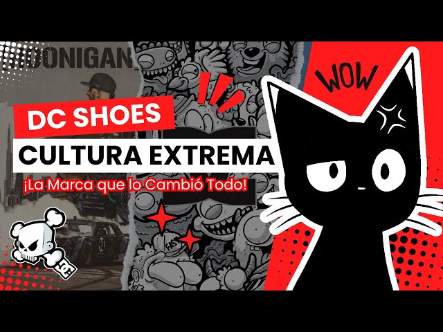 Vídeo relacionado con DC Shoes DC Star - Sudadera con Capucha para Hombre