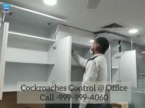 Commercial pest management service