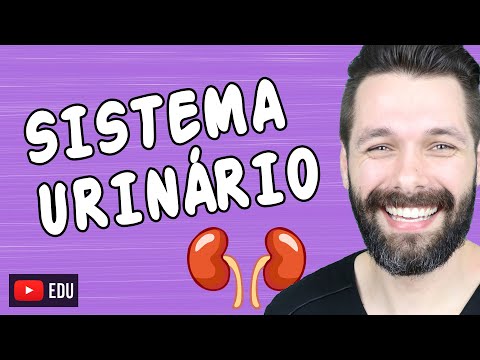 ÓRGÃOS DO SISTEMA URINÁRIO | Biologia com Samuel Cunha